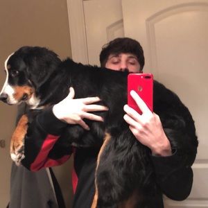 Meet your Posher, Brett